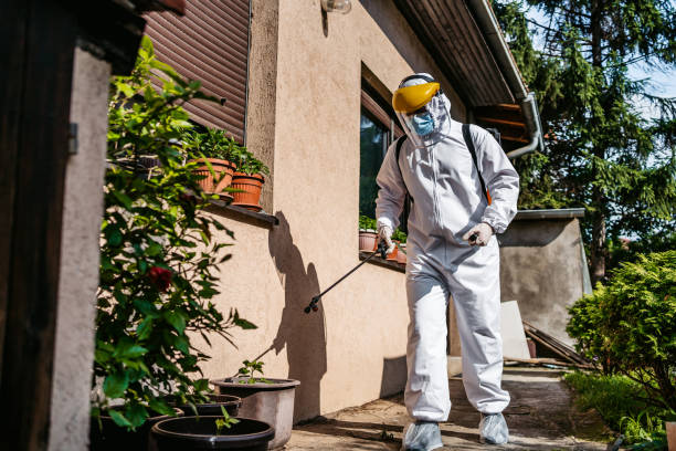 Reliable Yorketown, NJ Pest Control Solutions